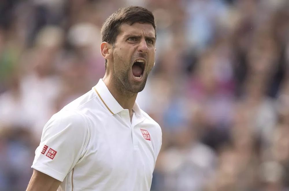  勒沃库森主帅运筹帷幄，德甲战术大师斗智斗勇